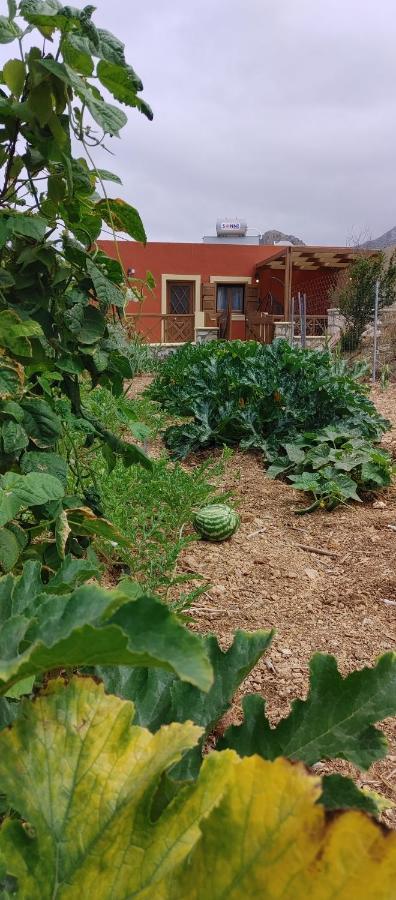 Stavlos Country House أركاسا المظهر الخارجي الصورة